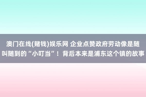 澳门在线(赌钱)娱乐网 企业点赞政府劳动像是随叫随到的“小叮当”！背后本来是浦东这个镇的故事