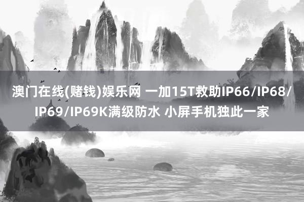 澳门在线(赌钱)娱乐网 一加15T救助IP66/IP68/IP69/IP69K满级防水 小屏手机独此一家
