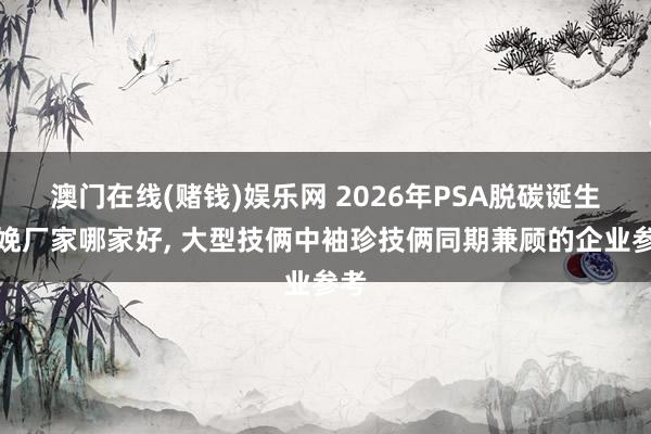 澳门在线(赌钱)娱乐网 2026年PSA脱碳诞生分娩厂家哪家好， 大型技俩中袖珍技俩同期兼顾的企业参考