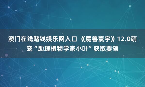 澳门在线赌钱娱乐网入口 《魔兽寰宇》12.0萌宠“助理植物学家小叶”获取要领