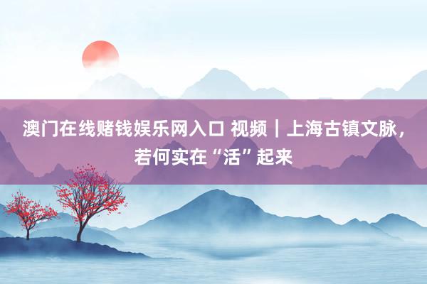 澳门在线赌钱娱乐网入口 视频｜上海古镇文脉，若何实在“活”起来