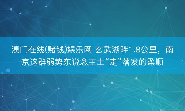 澳门在线(赌钱)娱乐网 玄武湖畔1.8公里，南京这群弱势东说念主士“走”落发的柔顺