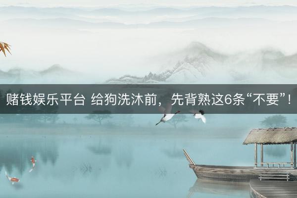 赌钱娱乐平台 给狗洗沐前，先背熟这6条“不要”！