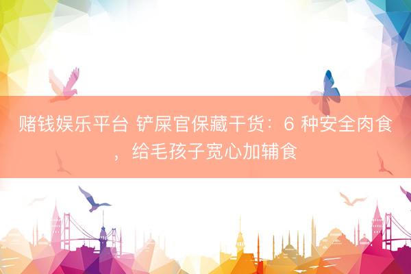 赌钱娱乐平台 铲屎官保藏干货：6 种安全肉食，给毛孩子宽心加辅食