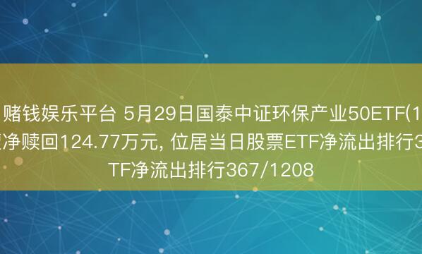 赌钱娱乐平台 5月29日国泰中证环保产业50ETF(159861)遭净赎回124.77万元, 位居当日股票ETF净流出排行367/1208