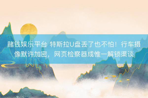 赌钱娱乐平台 特斯拉U盘丢了也不怕！行车摄像默许加密，网页检察器成惟一解锁渠谈