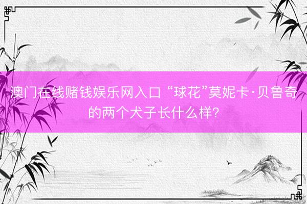 澳门在线赌钱娱乐网入口 “球花”莫妮卡·贝鲁奇的两个犬子长什么样？