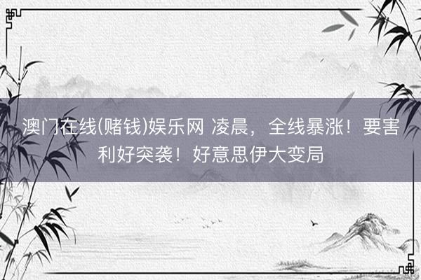 澳门在线(赌钱)娱乐网 凌晨，全线暴涨！要害利好突袭！好意思伊大变局