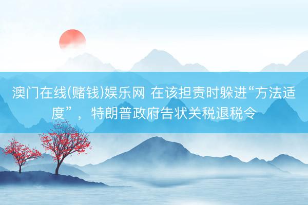 澳门在线(赌钱)娱乐网 在该担责时躲进“方法适度” ，特朗普政府告状关税退税令