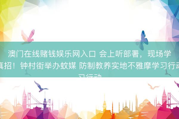 澳门在线赌钱娱乐网入口 会上听部署，现场学真招！钟村街举办蚊媒 防制教养实地不雅摩学习行动