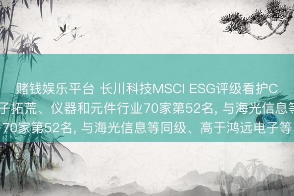 赌钱娱乐平台 长川科技MSCI ESG评级看护CCC， 位居GICS三级电子拓荒、仪器和元件行业70家第52名， 与海光信息等同级、高于鸿远电子等